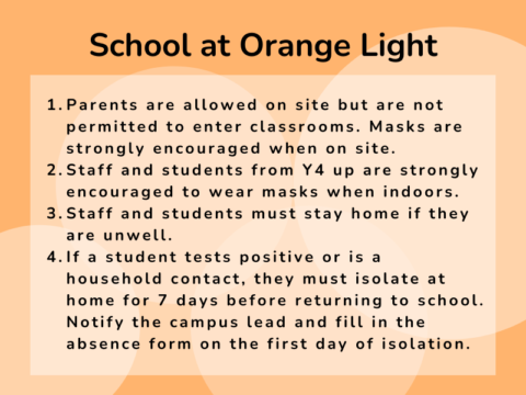 Orange Light Orange Light